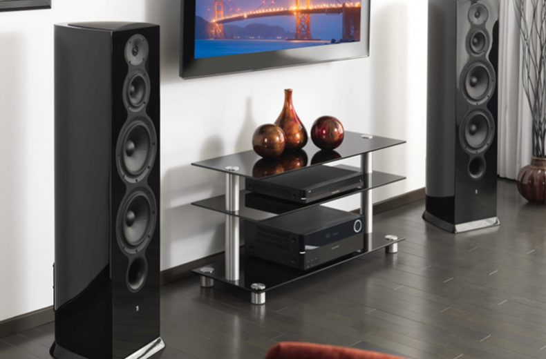 2 floor standing speakers in a home theater living room