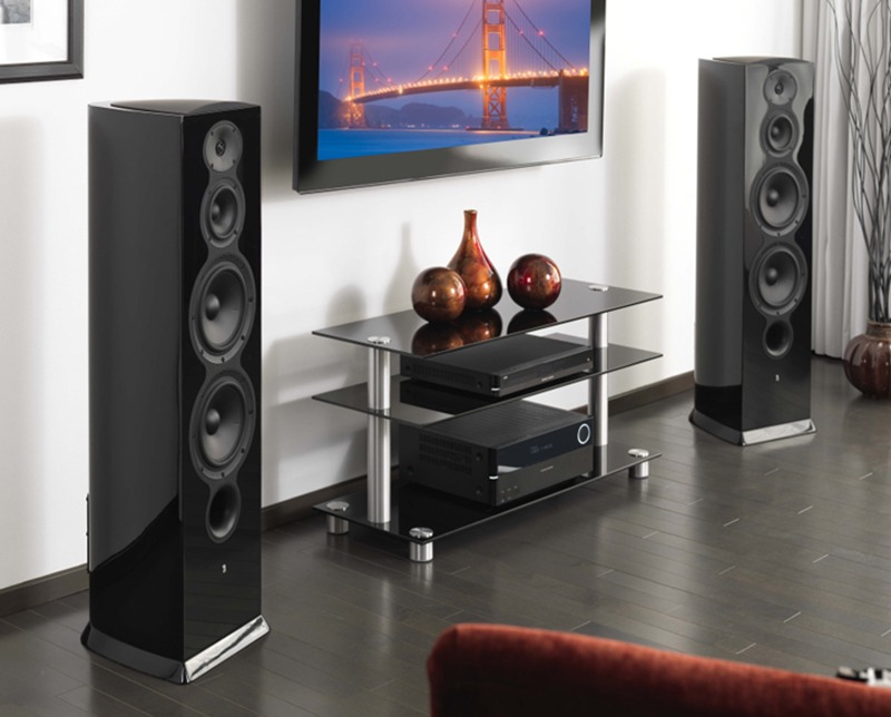 2 floor standing speakers in a home theater living room