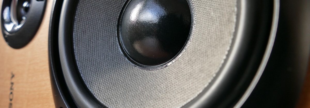 Sony close up speaker cone