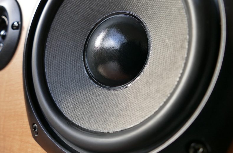 Sony close up speaker cone